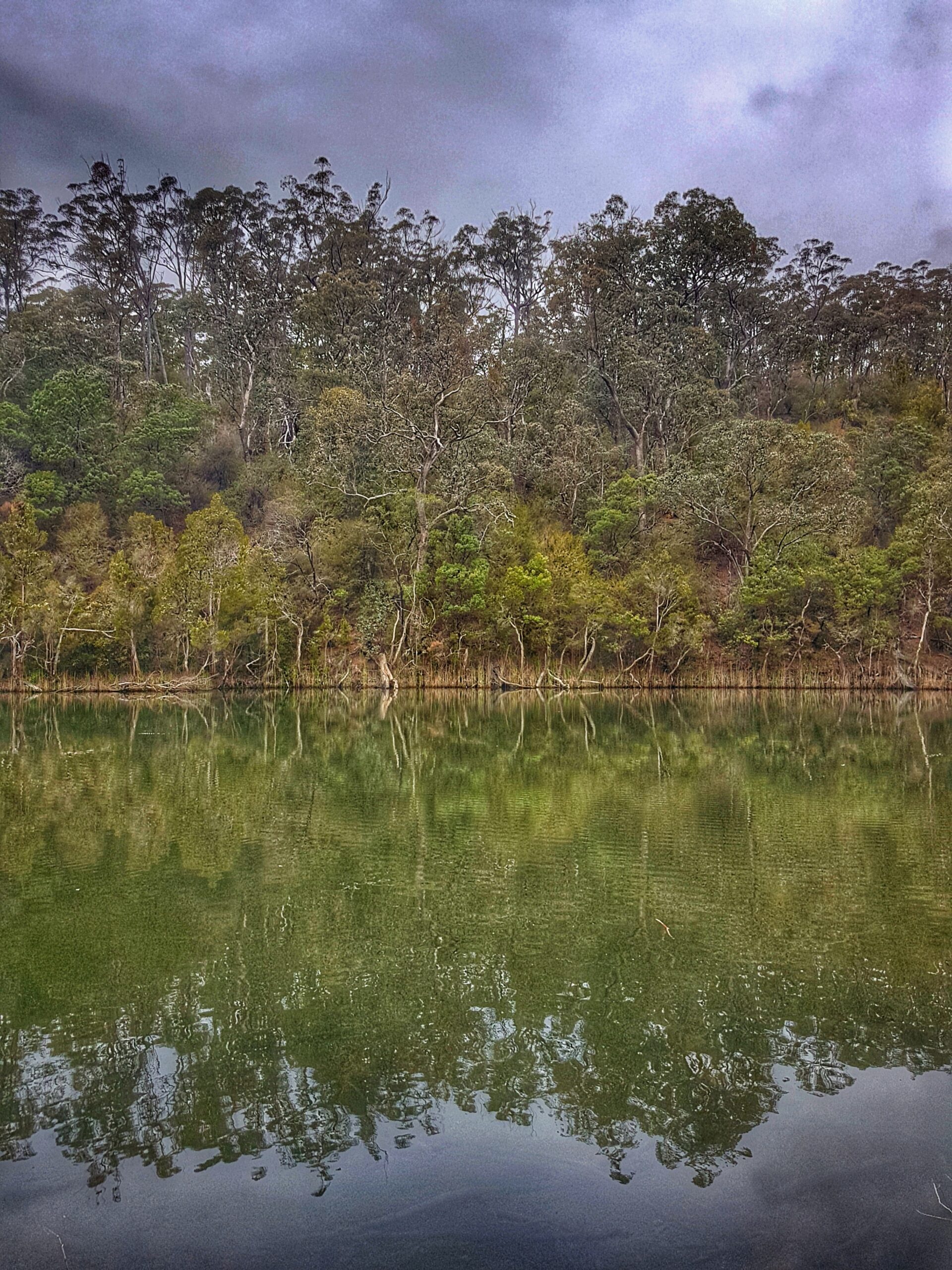 Lake Tyers, Gippsland Lakes, Victoia