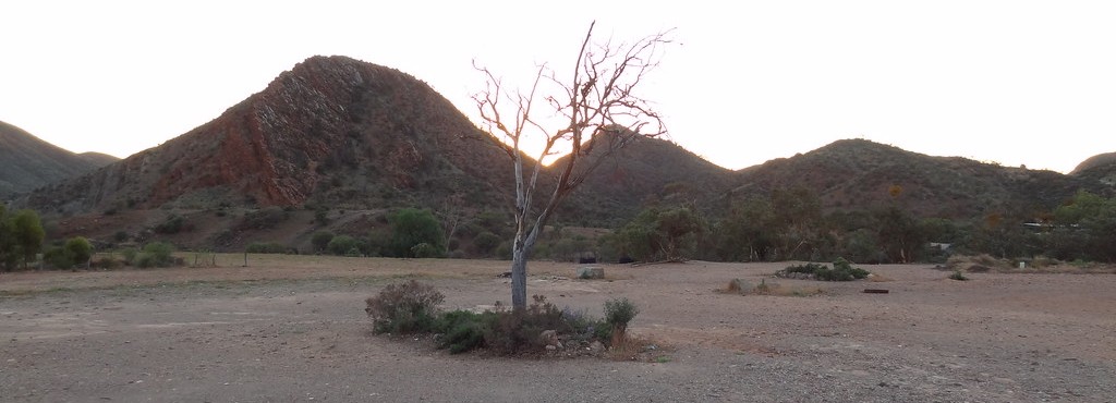 Campground at Arkaroola