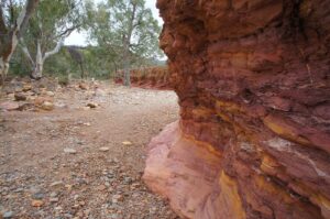 Orche Wall, Arkaroola