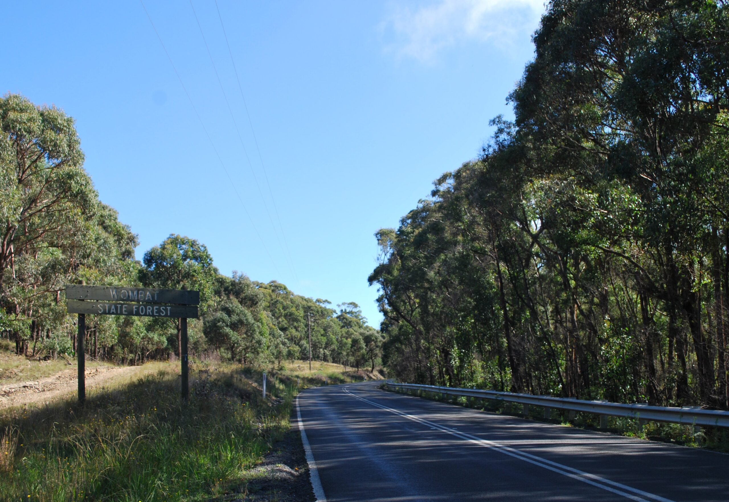 Wombat State Forest