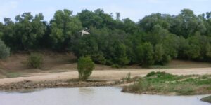 Cooper Creek