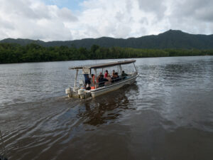 Cruise on the Daintree River