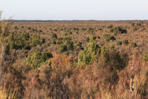 Wyperfeld National Park