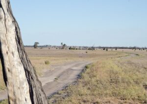 Wyperfeld National Park
