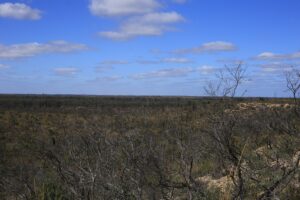 Wyperfeld National Park