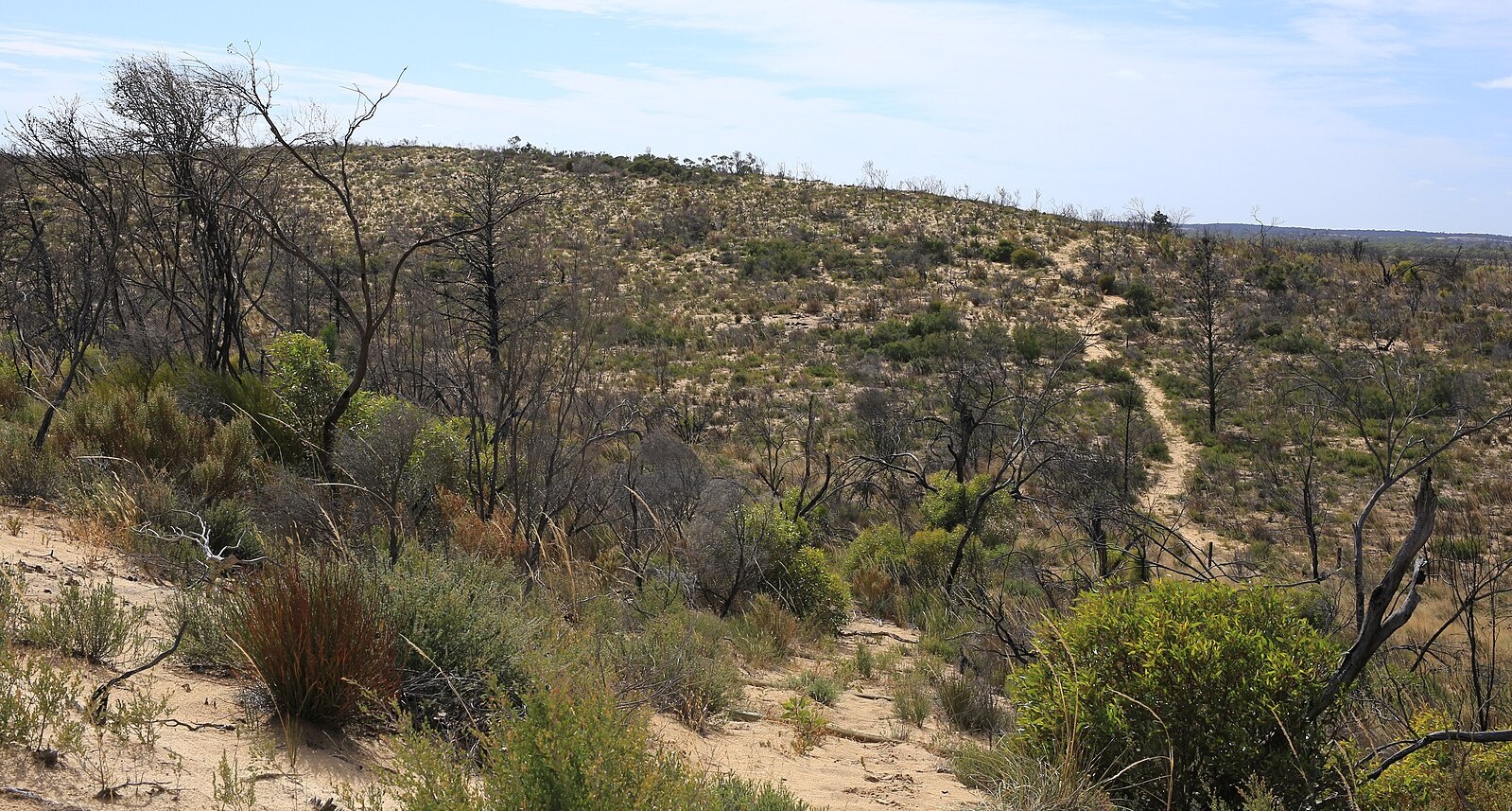 Wyperfeld National Park