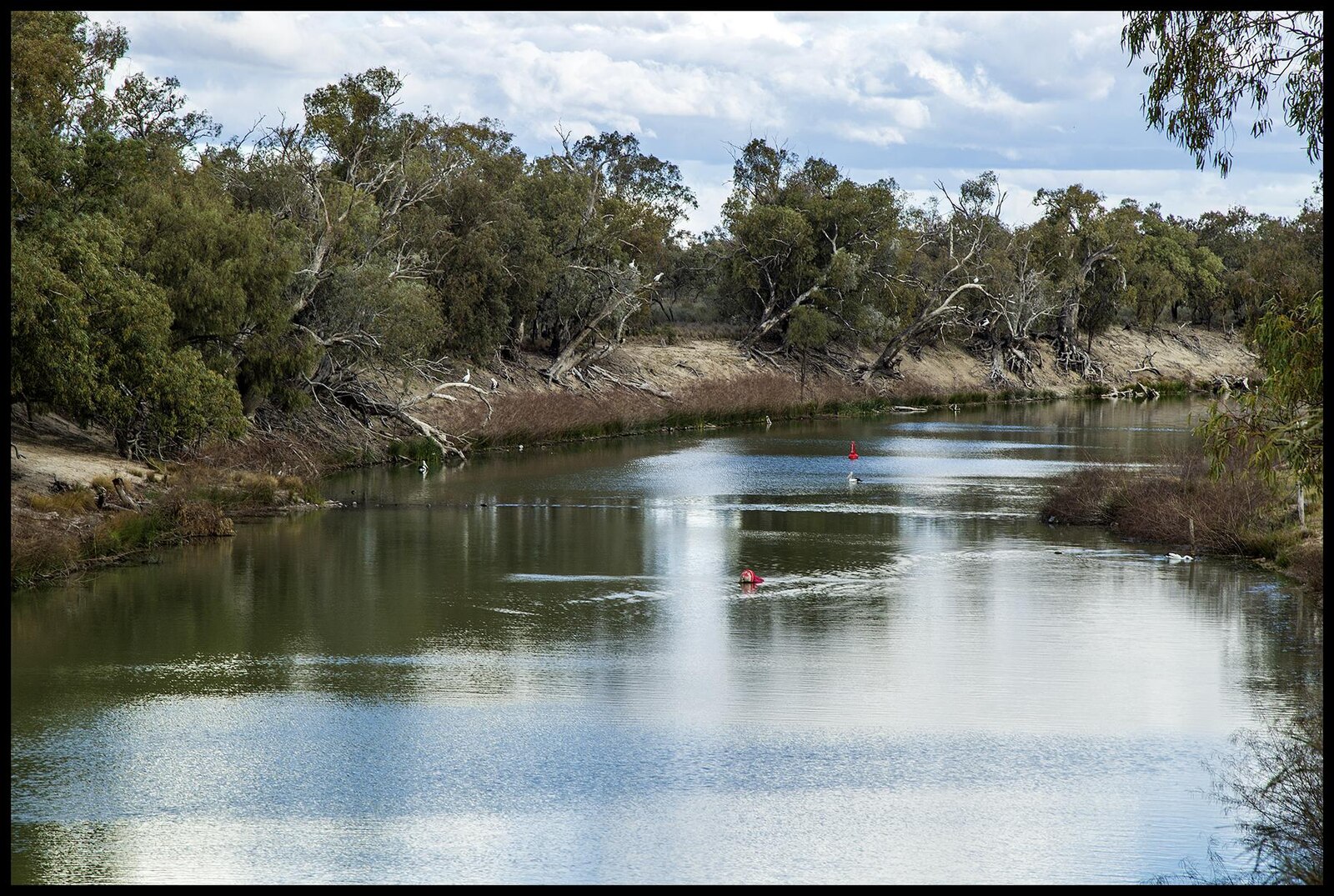 Darling River at Menindee
