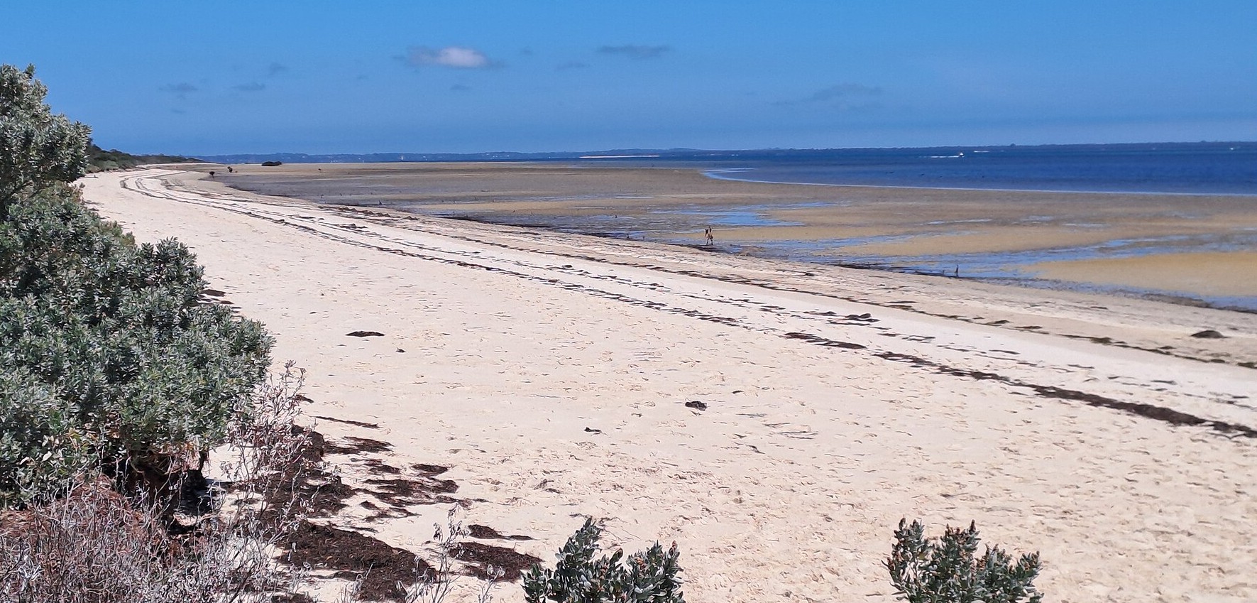Fairhaven Beach on French Island